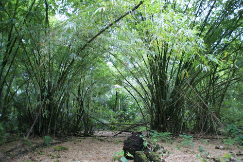 Guam - Haputo (2009) - Haputo (2009a) - DSC00391