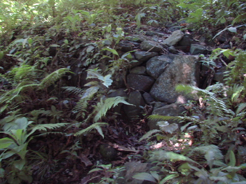 POHNPEI - Pohnpei (2007) - Pohnpei (07-1) - 3096