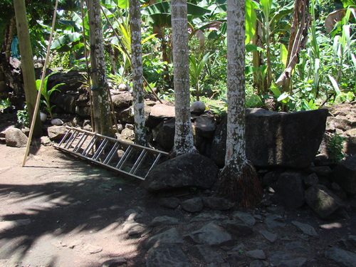 POHNPEI - Pohnpei (2007) - Pohnpei (07-1) - 3128