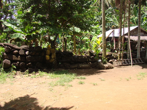 POHNPEI - Pohnpei (2007) - Pohnpei (07-1) - 3131