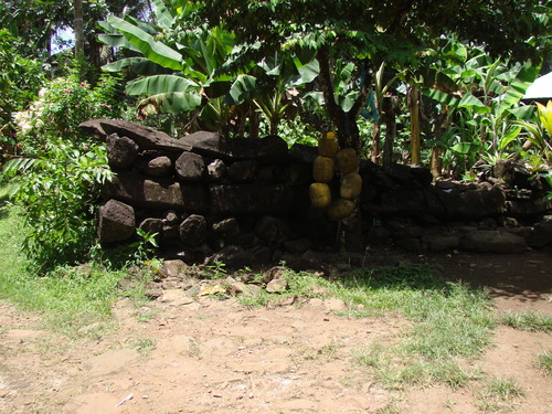 POHNPEI - Pohnpei (2007) - Pohnpei (07-1) - 3142