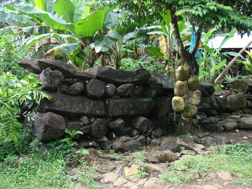 POHNPEI - Pohnpei (2007) - Pohnpei (07-1) - 3198