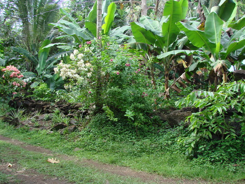 POHNPEI - Pohnpei (2007) - Pohnpei (07-1) - 3199