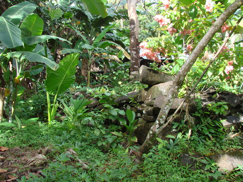 POHNPEI - Pohnpei (2007) - Pohnpei (07-1) - 3202