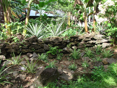 POHNPEI - Pohnpei (2007) - Pohnpei (07-1) - 3203