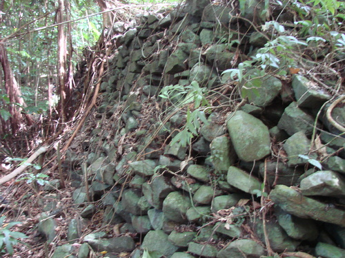POHNPEI - Pohnpei (2007) - Pohnpei (07-1) - 3221