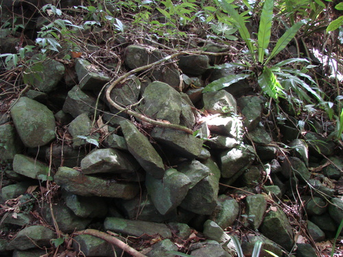POHNPEI - Pohnpei (2007) - Pohnpei (07-1) - 3222