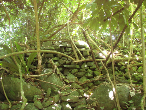 POHNPEI - Pohnpei (2007) - Pohnpei (07-1) - 3284