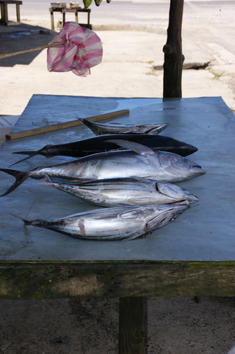 POHNPEI - Pohnpei (2009) - 2009a (1410a) Soukrou   No. 1 - 魚市b