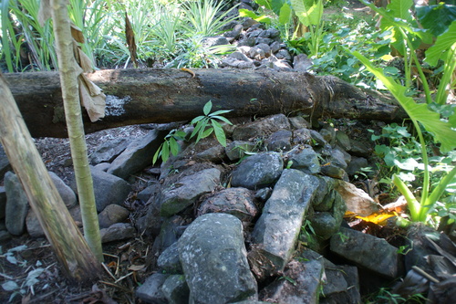 POHNPEI - Pohnpei (2009) - 2009a (1410a) Soukrou   No. 1 - 南壁の破損a