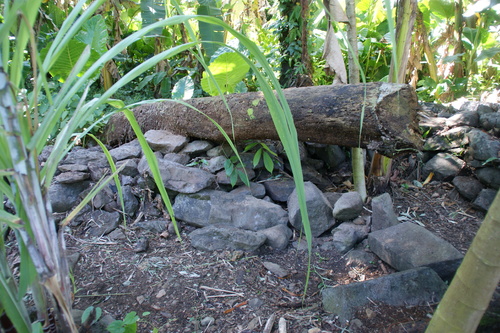 POHNPEI - Pohnpei (2009) - 2009a (1410a) Soukrou   No. 1 - 南壁の破損c