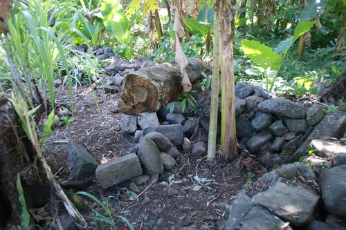 POHNPEI - Pohnpei (2009) - 2009a (1410a) Soukrou   No. 1 - 南壁の破損d