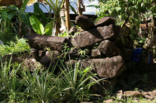 POHNPEI - Pohnpei (2009) - 2009a (1410a) Soukrou   No. 1 - 伐採前の北西角a