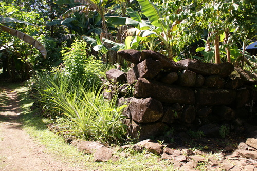 POHNPEI - Pohnpei (2009) - 2009a (1410a) Soukrou   No. 1 - 伐採前の北西角b