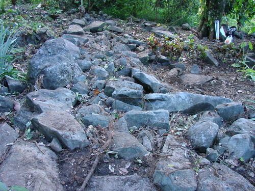 POHNPEI - Pohnpei (2009) - 2009b (810) Peinkipar - DSC03131