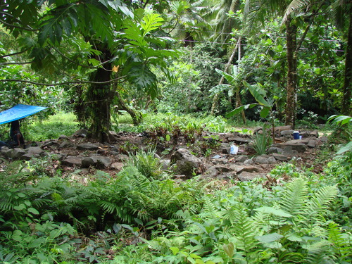 POHNPEI - Pohnpei (2009) - 2009b (810) Peinkipar - 遺跡全景a