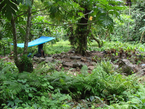 POHNPEI - Pohnpei (2009) - 2009b (810) Peinkipar - 遺跡全景c