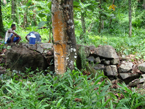 POHNPEI - Pohnpei (2009) - 2009b (810) Peinkipar - 休憩中