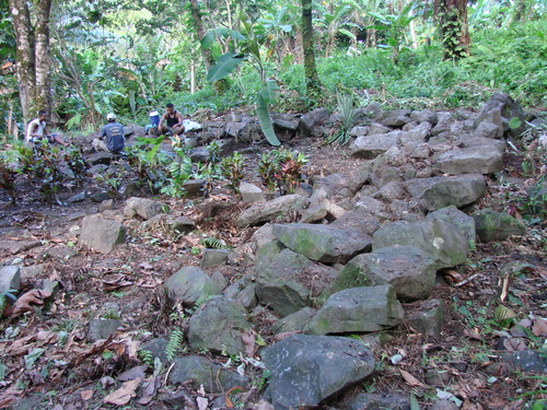 POHNPEI - Pohnpei (2009) - 2009b (810) Peinkipar - 西・南周壁
