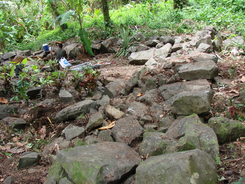 POHNPEI - Pohnpei (2009) - 2009b (810) Peinkipar - 西・南周壁c