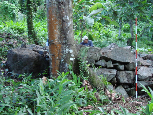 POHNPEI - Pohnpei (2009) - 2009b (810) Peinkipar - 東周壁b