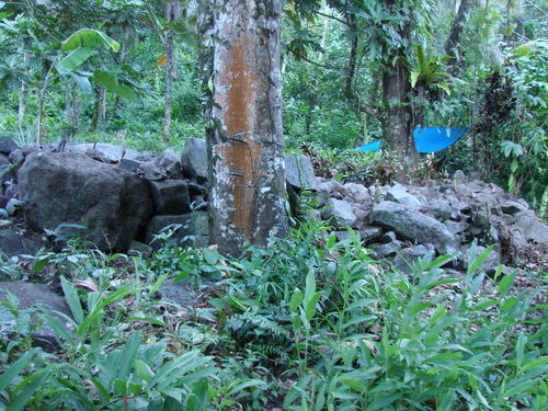 POHNPEI - Pohnpei (2009) - 2009b (810) Peinkipar - 東周壁l