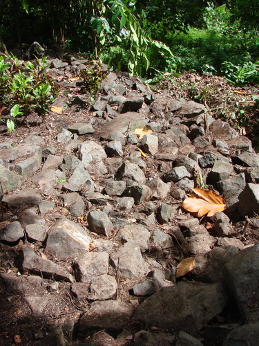 POHNPEI - Pohnpei (2009) - 2009b (810) Peinkipar - 東周壁m