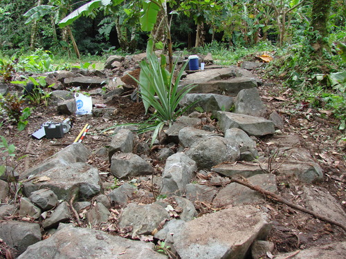 POHNPEI - Pohnpei (2009) - 2009b (810) Peinkipar - 南周壁d