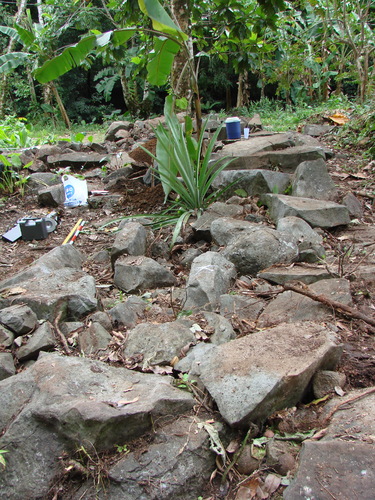 POHNPEI - Pohnpei (2009) - 2009b (810) Peinkipar - 南周壁e