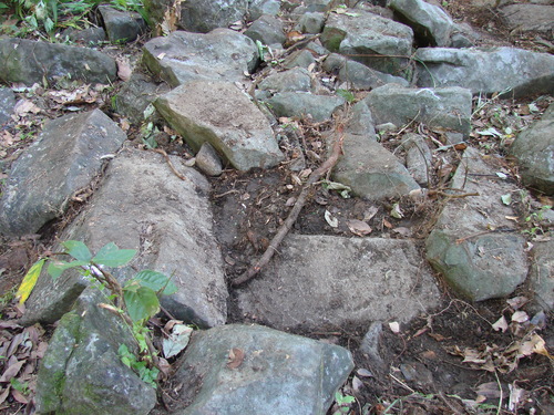 POHNPEI - Pohnpei (2009) - 2009b (810) Peinkipar - 南西角a