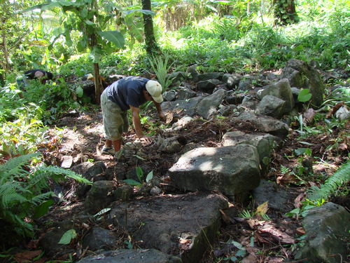 POHNPEI - Pohnpei (2009) - 2009b (810) Peinkipar - 伐採作業a