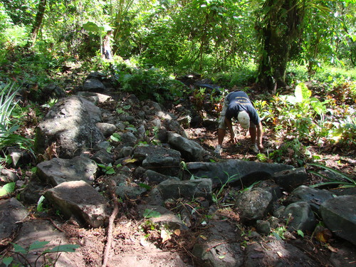 POHNPEI - Pohnpei (2009) - 2009b (810) Peinkipar - 伐採作業b