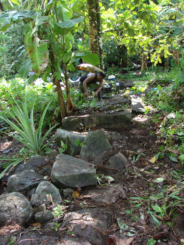 POHNPEI - Pohnpei (2009) - 2009b (810) Peinkipar - 伐採作業c