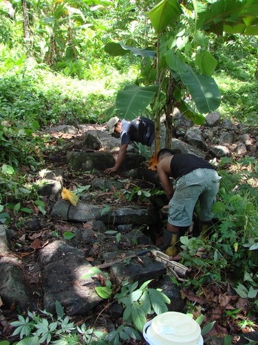 POHNPEI - Pohnpei (2009) - 2009b (810) Peinkipar - 伐採作業d