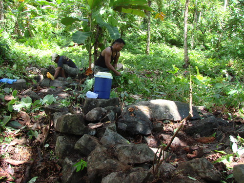 POHNPEI - Pohnpei (2009) - 2009b (810) Peinkipar - 伐採作業e