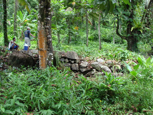 POHNPEI - Pohnpei (2009) - 2009b (810) Peinkipar - 伐採作業f