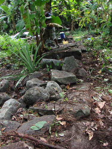 POHNPEI - Pohnpei (2009) - 2009b (810) Peinkipar - 伐採作業h