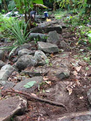 POHNPEI - Pohnpei (2009) - 2009b (810) Peinkipar - 伐採作業i