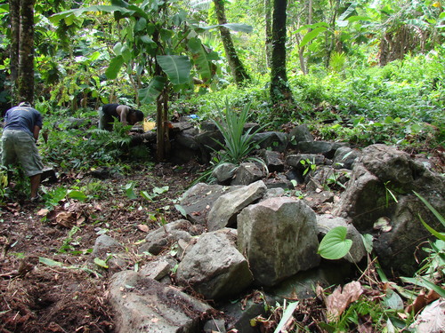 POHNPEI - Pohnpei (2009) - 2009b (810) Peinkipar - 伐採作業j