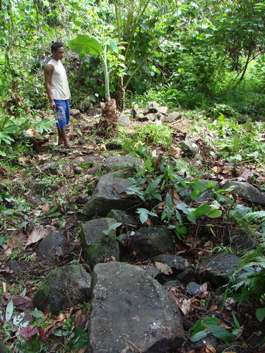 POHNPEI - Pohnpei (2009) - 2009b (810) Peinkipar - 伐採作業l