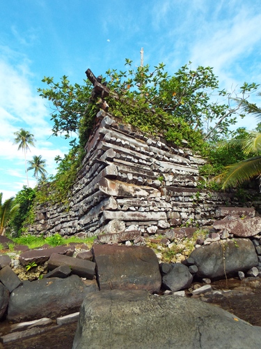 POHNPEI - Nan Madol Project (Summer, 2014) - 08:05 - DSCF7145