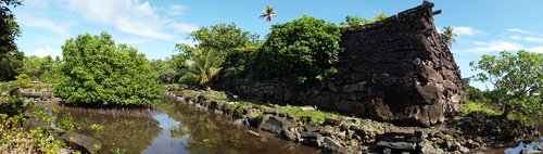 POHNPEI - Nan Madol Project (Summer, 2014) - 08:06 - DSCF7201