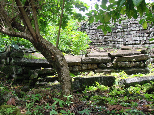 POHNPEI - Pohnpei (2008a) - DSC01877