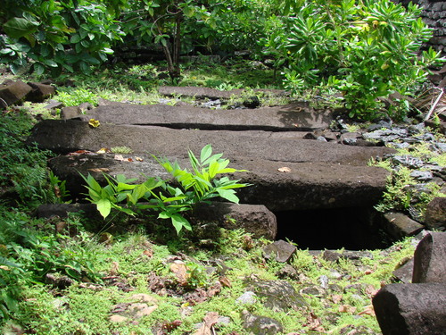 POHNPEI - Pohnpei (2008a) - DSC01878