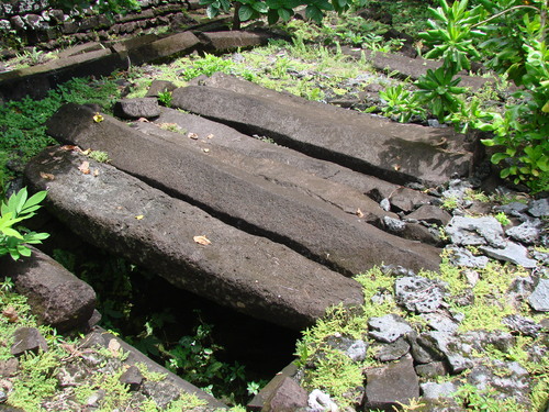 POHNPEI - Pohnpei (2008a) - DSC01879