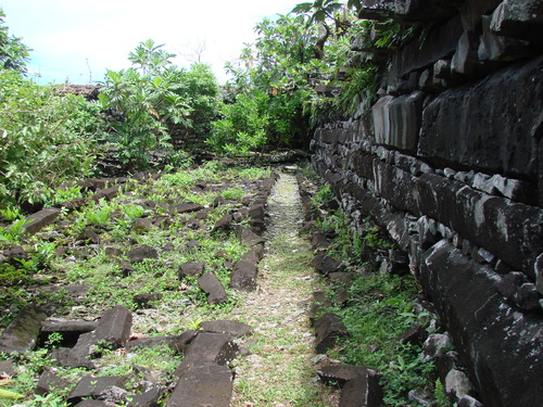 POHNPEI - Pohnpei (2008a) - DSC01884