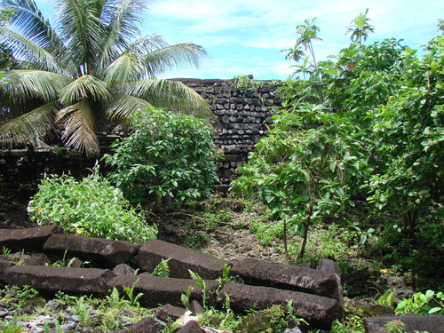 POHNPEI - Pohnpei (2008a) - DSC01887