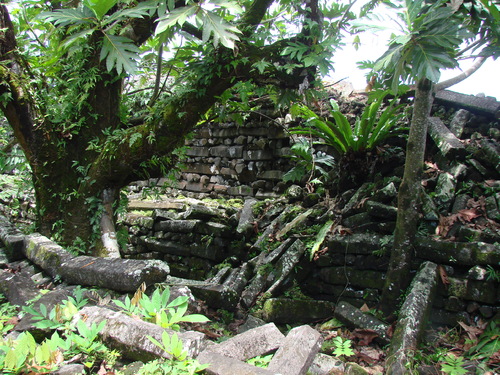 POHNPEI - Pohnpei (2008a) - DSC01890
