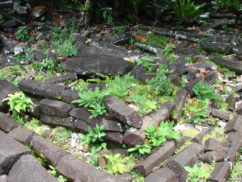 POHNPEI - Pohnpei (2008a) - DSC01891