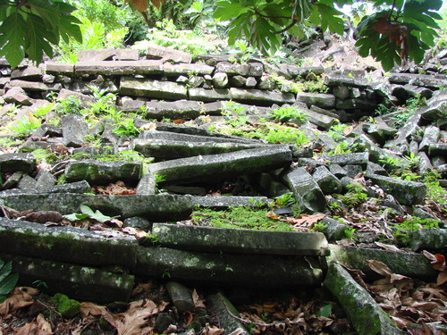POHNPEI - Pohnpei (2008a) - DSC01893